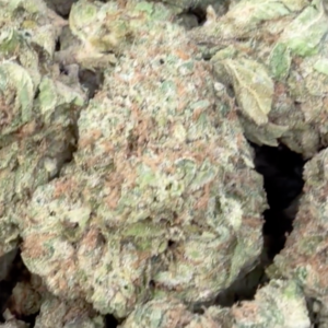 Gelonade (Sativa) 15%THC