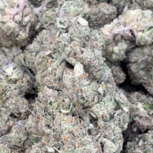 Sherblato (Hybrid) 29.6%THC
