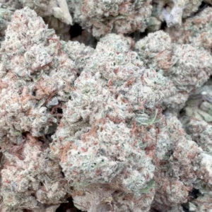 BlueBerry Muffins (Indica) 25.5%